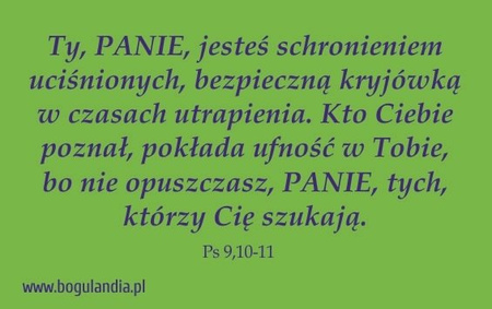 Magnes 35 na lodówkę  Ty, PANIE, jesteś schronieniem