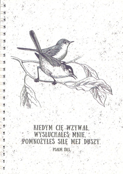 Mój Dziennik - Kiedym Cię wzywał wysłuchałeś mnie… (Ps 138,3)