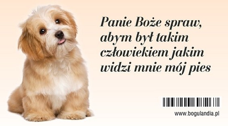 Magnes 2 na lodówkę Panie Boże spraw, abym był takim