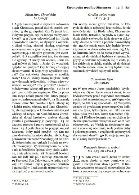 Dzisiejsza Biblia Gdańska DBG II duża PU zamek złocenia brąz