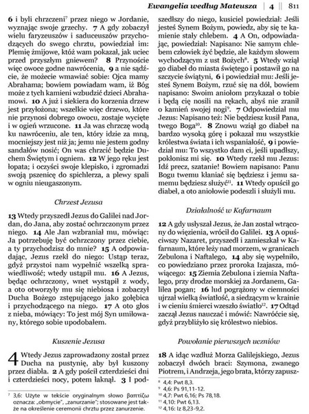 Dzisiejsza Biblia Gdańska DBG II duża PU zamek złocenia brąz