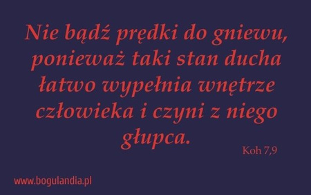 Magnes 39 na lodówkę Nie bądź prędki do gniewu