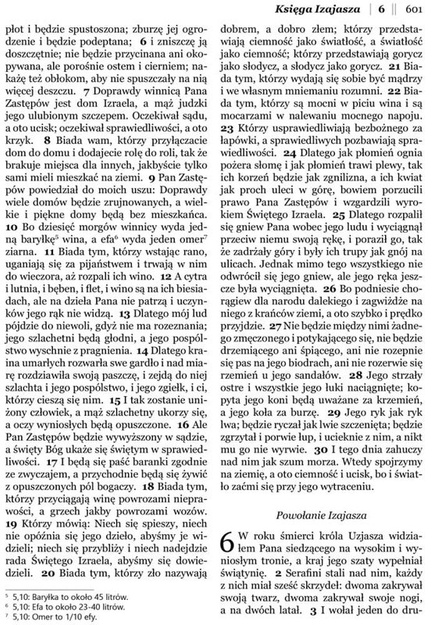 Dzisiejsza Biblia Gdańska DBG II duża PU złocenia brąz