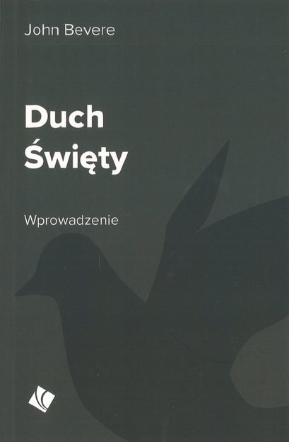 Duch Święty. Wprowadzenie - John Bevere - oprawa miękka