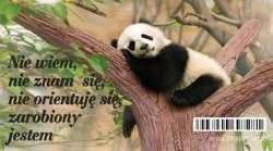 Magnes 4 na lodówkę Nie wiem, nie znam się