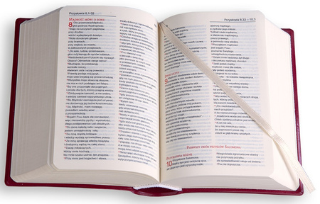 Biblia Edycja Świętego Pawła Biblia Tabor PVC bordo