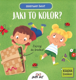 Jaki to kolor? Odkrywam świat - książka z okienkami