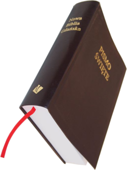 Nowa Biblia Gdańska NBG miękka eko-skóra brąz