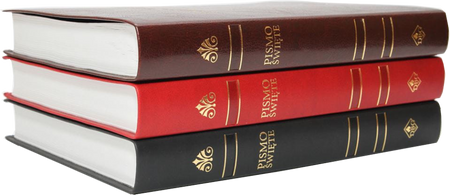 Dzisiejsza Biblia Gdańska DBG II duża PU brąz