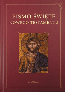 Biblia Tysiąclecia Nowy Testament z ilustracjami duży oprawa twarda w obwolucie