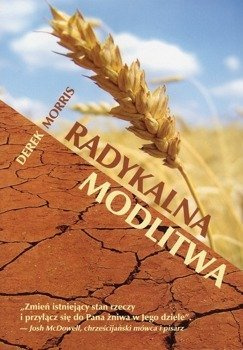 Radykalna modlitwa - Derek Morris - oprawa miękka