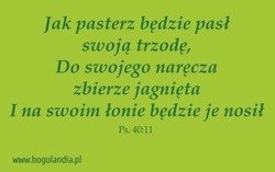 Magnes 45 na lodówkę Jak pasterz będzie pasł swoją
