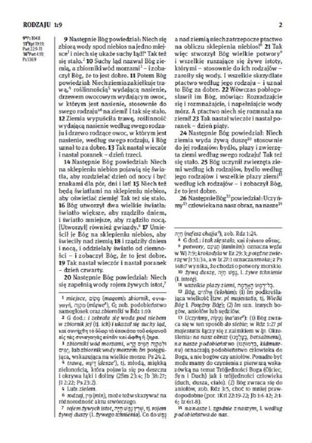 Biblia Stare i Nowe Przymierze Przekład dosłowny EIB duża ekoskóra PU grafit