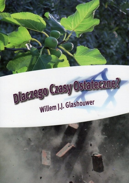 Dlaczego czasy ostateczne? - Willem J.J. Glashouwer - oprawa miękka