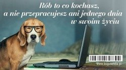Magnes 6 na lodówkę Rób to co kochasz