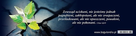 Zakładka 27 do książki Zewsząd uciskani, nie jesteśmy