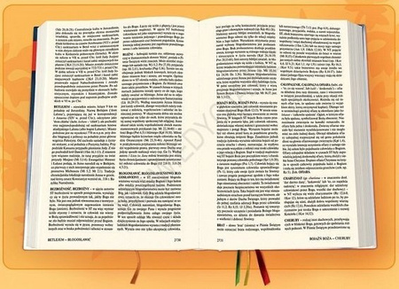 Biblia Edycja Świętego Pawła duża twarda granat