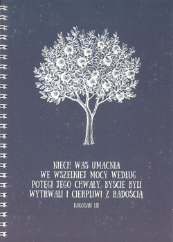 Mój Dziennik - „Niech was umacnia… z radością” (Kol 1,11)