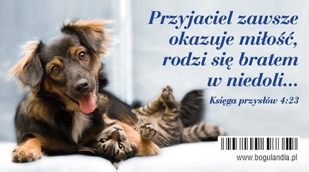 Magnes 11 na lodówkę Przyjaciel zawsze okazuje