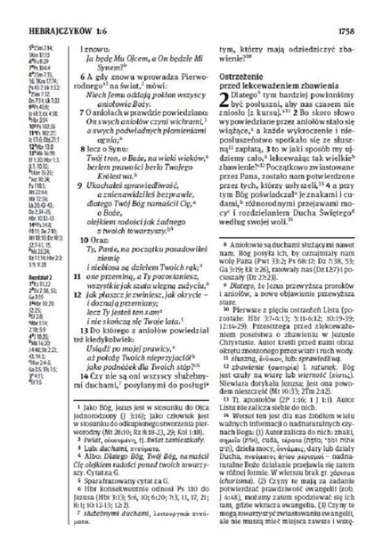 Biblia Stare i Nowe Przymierze Przekład dosłowny EIB duża ekoskóra PU grafit