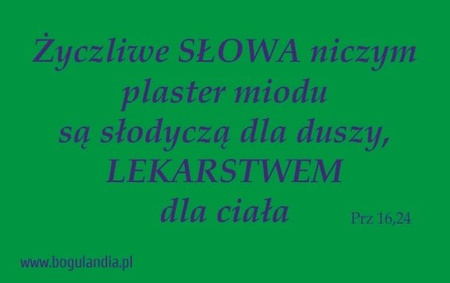 Magnes 66 na lodówkę Życzliwe SŁOWA niczym plaster