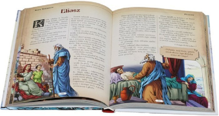 Biblia. Historia naszego zbawienia - oprawa twarda 