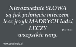 Magnes 62 na lodówkę Nierozważnie SŁOWA są jak
