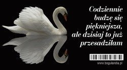 Magnes 3 na lodówkę Codziennie budzę się piękniejsza