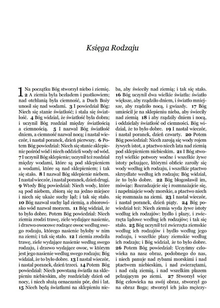 Dzisiejsza Biblia Gdańska DBG II mała zamek ceglana