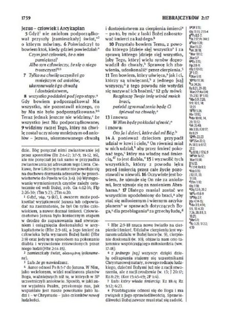 Biblia Stare i Nowe Przymierze Przekład dosłowny EIB duża ekoskóra PU brąz