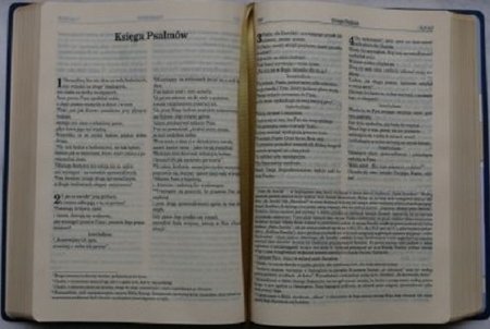 Biblia pierwszego Kościoła oprawa PCV złocone brzegi kartek bordowa