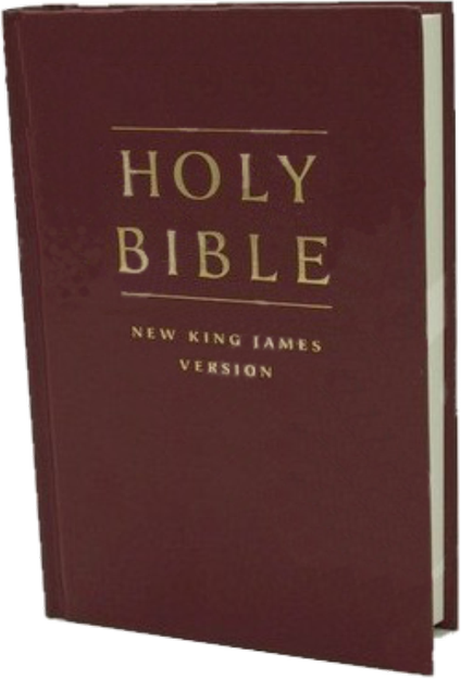 Holy Bible New King James version - Biblia angielska - oprawa twarda