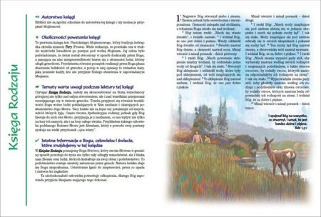 Ilustrowana Biblia Pierwszego Kościoła IBPK - okładka brązowa