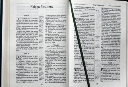 Nowy Testament z księgami Psalmów i Przysłów UBG - oprawa PU ekoskóra bordo